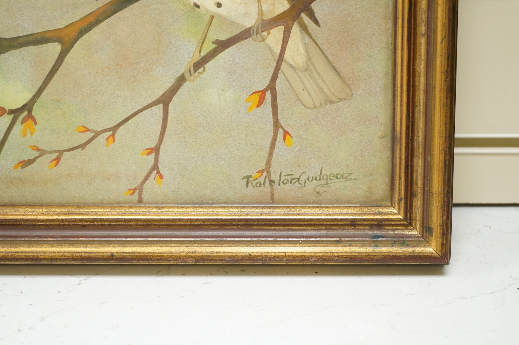 Ralston Gudgeon (Scottish, 1910-1984), Study of four birds on a branch, signed, watercolour, 21 x 49cm